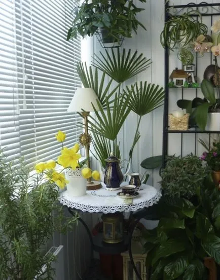Cum de a decora un balcon cu flori, 16 poze cu aranjamente florale, recomandări pentru cultivarea de iarnă