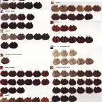 Ce fel de colorare a părului Loreal select (vopsea) Ce fel de păr de colorare a Loreal alege