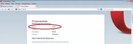 De unde știi numele și versiunea browser-ului