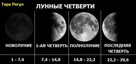 Cum știu când un om se căsătorește! (QUARTER LUNAR dureaza) Cum știu când un om se căsătorește!