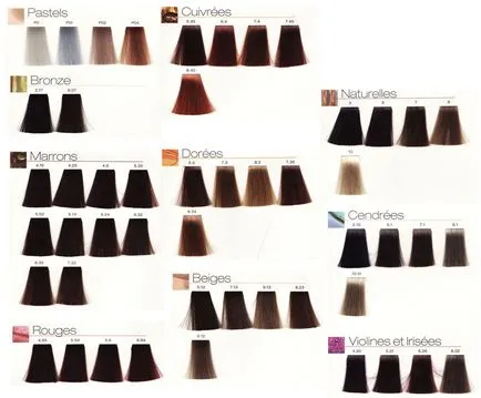 Ce fel de colorare a părului Loreal select (Hair Dye L'Oreal) Ce fel de păr de colorare a Loreal alege
