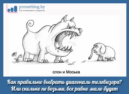Cum de a alege diagonala televizorului, calculul pentru LCD și LED-uri