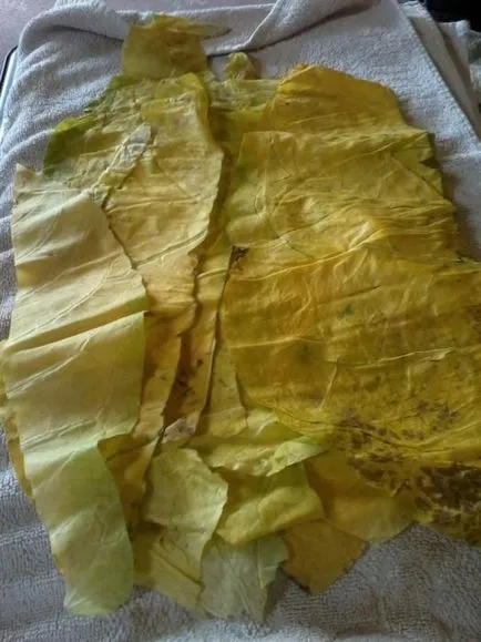 Cum fermentarea tutunului la domiciliu (tutun) Cum fermentarea tutunului la domiciliu