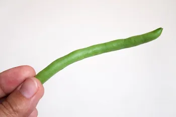 Cum să înghețe fasole verde - reteta cu pas cu pas fotografii