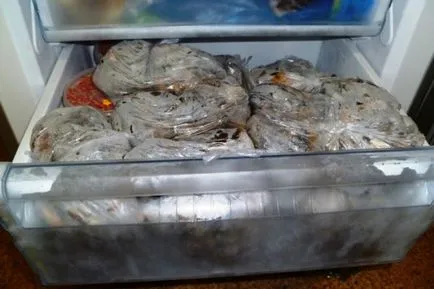 Cum se păstrează pește uscat la domiciliu 3 2 pe termen scurt și lung metoda