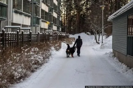 Cum să trăiască în clădirea finlandeză cu cinci etaje (în direct finlandeză clădire de cinci etaje) Cum de a trăi într-o clădire cu cinci etaje din finlandeză