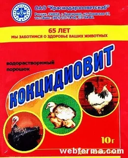 Coccidioza la pui simptome și tratament