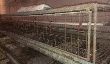 Colivii pentru pui cu propriile lor mâini - rapid, ieftin și convenabil (pui de carne) Colivii pentru pui cu propriile lor mâini - rapid, ieftin și convenabil