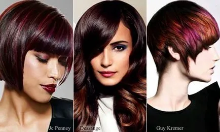 Colorat la pas acasă cu clasa pas Wizard pentru diferite tipuri de păr (colorat) Colorat la pas acasă cu clasa pas expertul pentru diferite tipuri de păr
