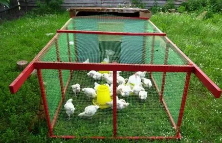 Colivii pentru găini și pui broiler desene, fotografii, cum să facă propriile lor mâini (desene) Colivii pentru găini și pui broiler desene, fotografii, cum să facă propriile lor mâini