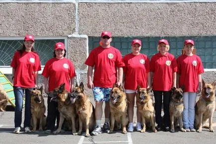 cluburi canisa din România