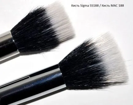 Perii machiaj Sigma împotriva mac