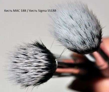 Perii machiaj Sigma împotriva mac