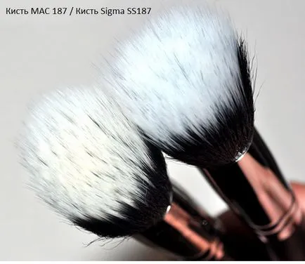 Perii machiaj Sigma împotriva mac