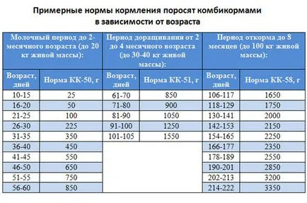 Hrănirea (porci pentru îngrășare), cele mai eficiente - cum să se hrănească (alimentare) Hrănirea (porci pentru îngrășare), cele mai eficiente - cum să se hrănească