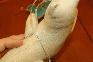 pisica tilda
