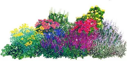 Frumos pat de flori - cum să facă sistemul și fotografiile de paturi de flori frumoase, florile tale preferate (frumos) Frumos pat de flori - cum să facă sistemul și fotografiile de paturi de flori frumoase, florile tale preferate