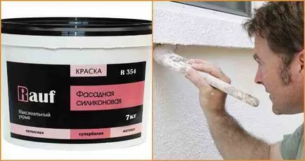 Paint caracteristici principale exterioare și tipuri