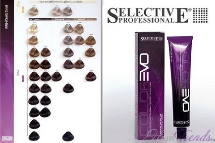 Evo vopsea selectiv paleta de culori