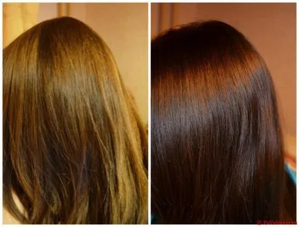 Par Colorare paleta de culori Cieza (paleta) Paleta de colorare a părului de culoare Cieza