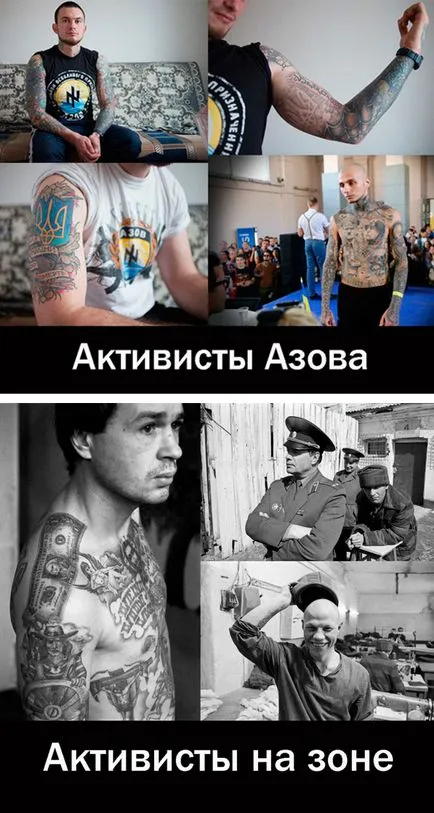 Cine sunt activiștii