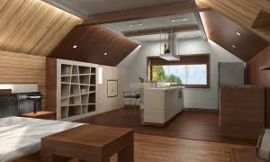 Bucătărie-dormitor (39 fotografii) în instrucțiuni video de o singură cameră cu privire la înregistrarea de design interior pentru ei (lor) Bucătărie-dormitor (39 fotografii) în ghidul video de o camera pentru decorarea design