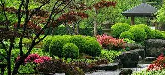 Amenajare a teritoriului cu mâinile lor complot 127 fotografie