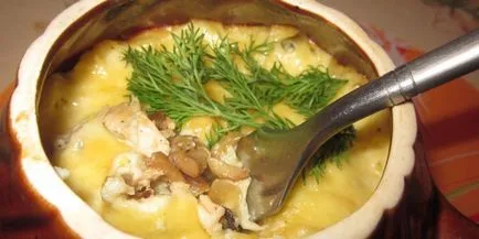 file de pui în cuptor - rețete pentru carne la grătar delicioase cu legume sau branza fotografie (de gătit) file de pui în cuptor - rețete pentru carne la grătar delicioase cu legume sau branza cu fotografii