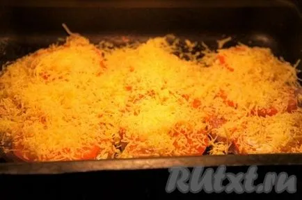 Piept de pui cu roșii și brânză - o rețetă cu fotografie (tomate brânză de san) Piept de pui cu rosii si branza - reteta cu o fotografie