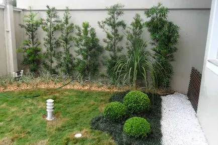 Design de landsaft, care se va schimba gradina (Design) Design de landsaft, care se va schimba gradina ta