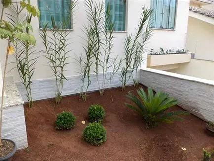 Design de landsaft, care se va schimba gradina (Design) Design de landsaft, care se va schimba gradina ta