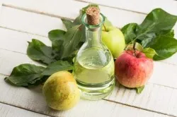 viță de vie frunze pentru preforme Dolma de iarnă