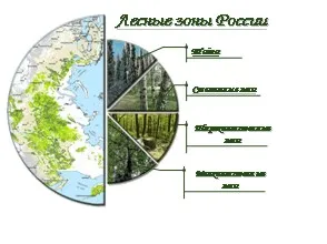 Zona Pădurea România