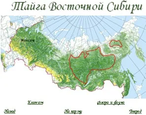 Zona Pădurea România