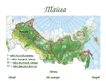 Zona Pădurea România
