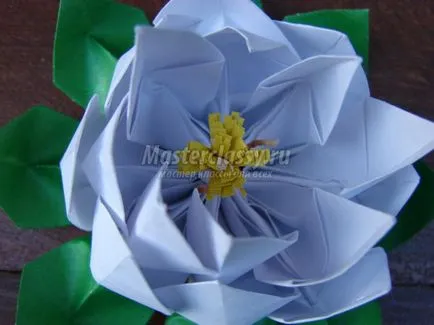 Lotus hârtie origami de artă