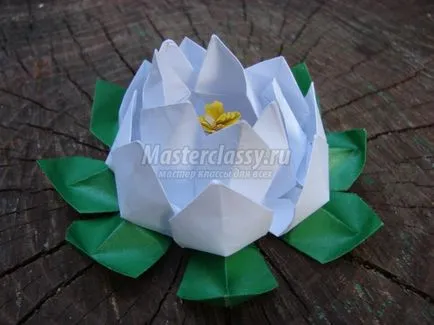 Lotus hârtie origami de artă