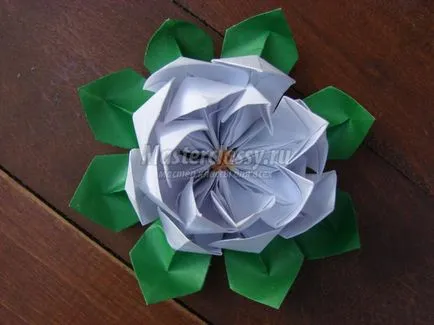 Lotus hârtie origami de artă