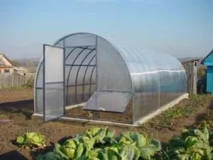 de afaceri mici, la domiciliu idei profitabile (condiții) Micul business în ideile de acasă lucrative