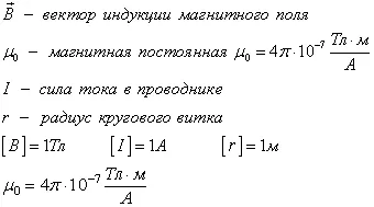 Liniile de câmp magnetic de forță a vectorului inducție magnetică, principiul superpoziției
