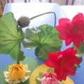 O clasă de maestru în arta origami „dog-spărgător“ (grădinițe) O clasă de maestru în arta origami „câine-spărgător“