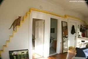 Mobila pentru pisici