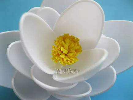 clasa de lotus maestru de linguri de plastic și hârtie colorată, cu propriile sale mâini