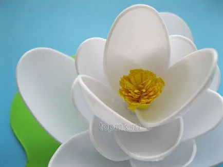 clasa de lotus maestru de linguri de plastic și hârtie colorată, cu propriile sale mâini