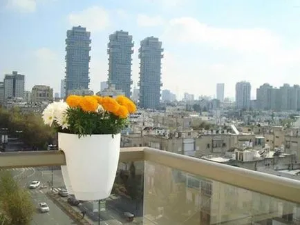 Modalitati de fotografii flori de design balcon și numele de plante populare, procedee pentru producerea pe (plantă) Modalitati de fotografii flori de design balcon și nume de plante populare, metode de cultivare a