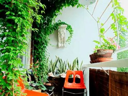 Modalitati de fotografii flori de design balcon și nume de plante populare, metode de cultivare pe (flori) Modalitati de fotografii flori de design balcon și nume de plante populare, metode de cultivare a