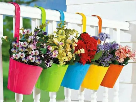 Modalitati de fotografii flori de design balcon și numele de plante populare, procedee pentru producerea pe (plantă) Modalitati de fotografii flori de design balcon și nume de plante populare, metode de cultivare a