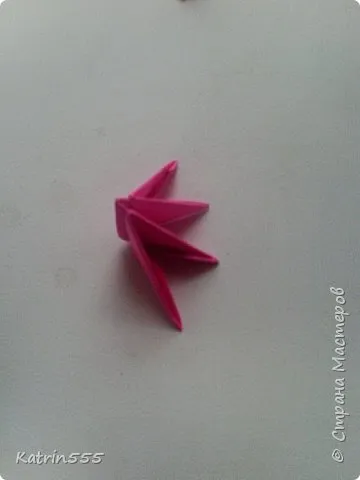 origami modular - lotus, artiști de țară