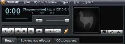 Music player-ul de pe computer - o revizuire și descrierea programelor populare