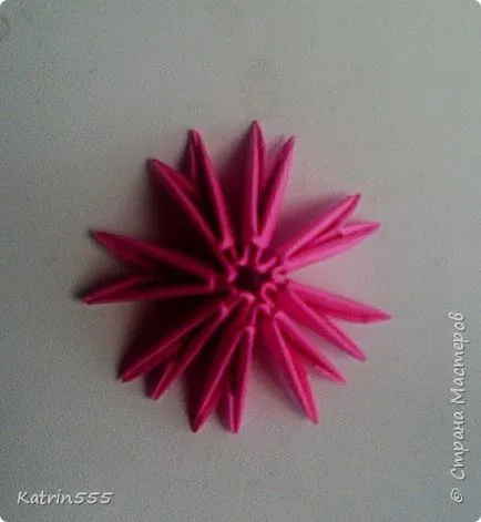origami modular - lotus, artiști de țară